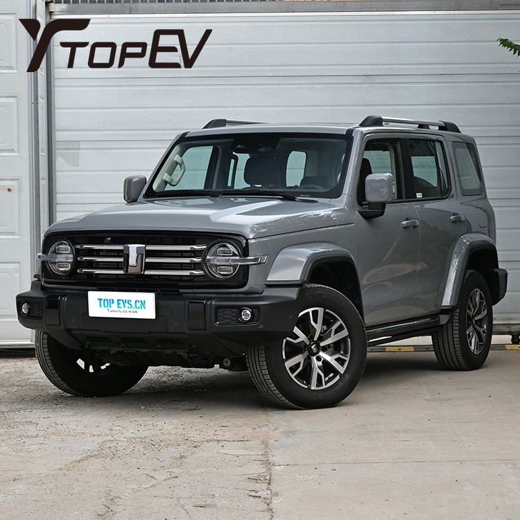 2024 GWM Бак 300 Гибридный электромобиль