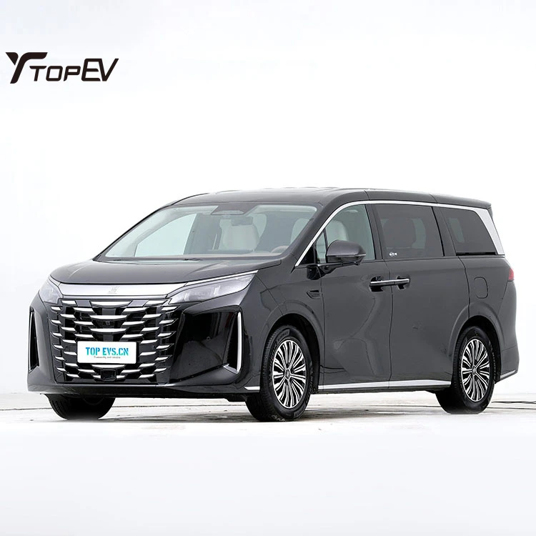 BYD Xia DM-i 2025 100KM MPV Cars